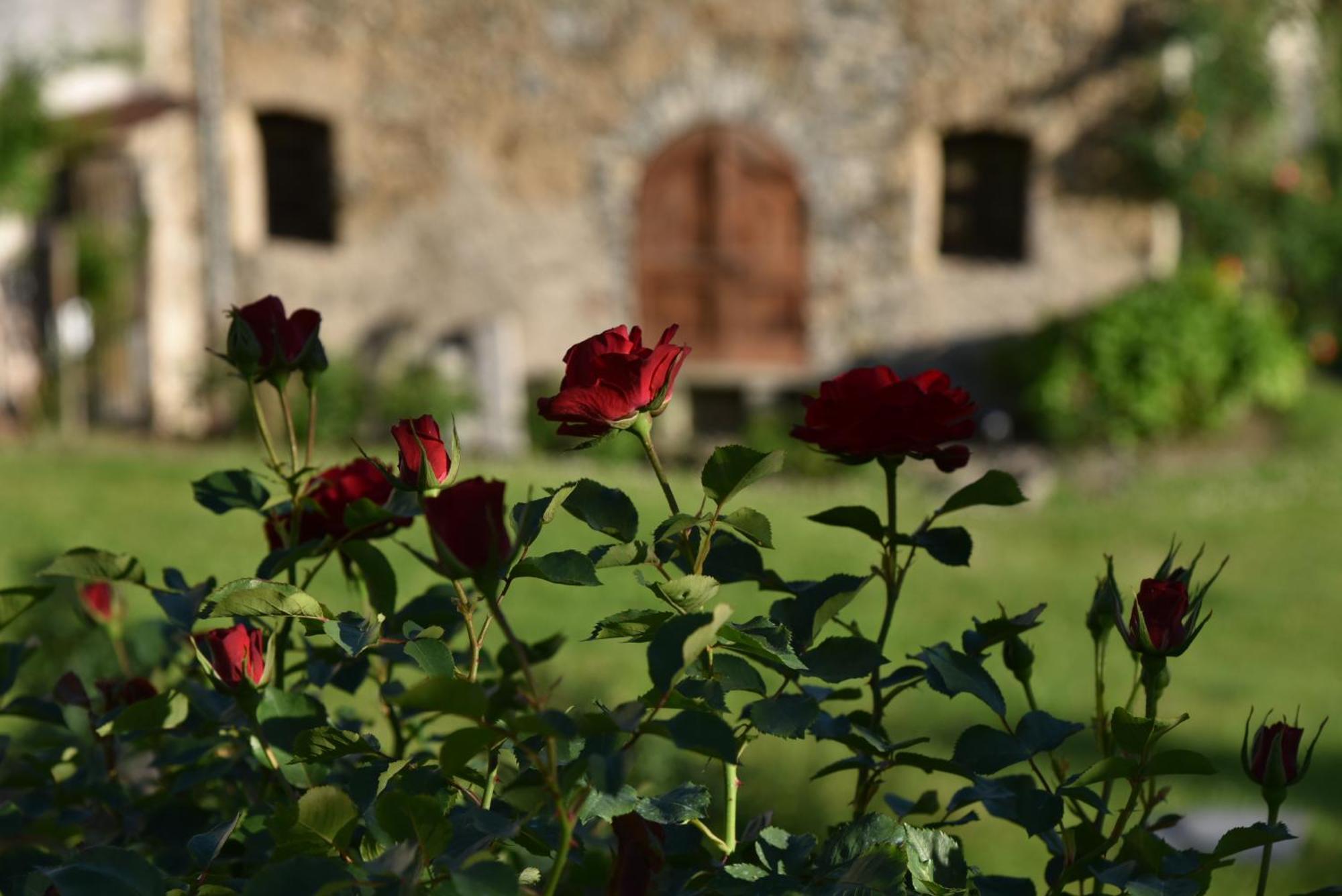 Вілла Piano Nobile Al Roseto Del Drago San Bernardo  Екстер'єр фото