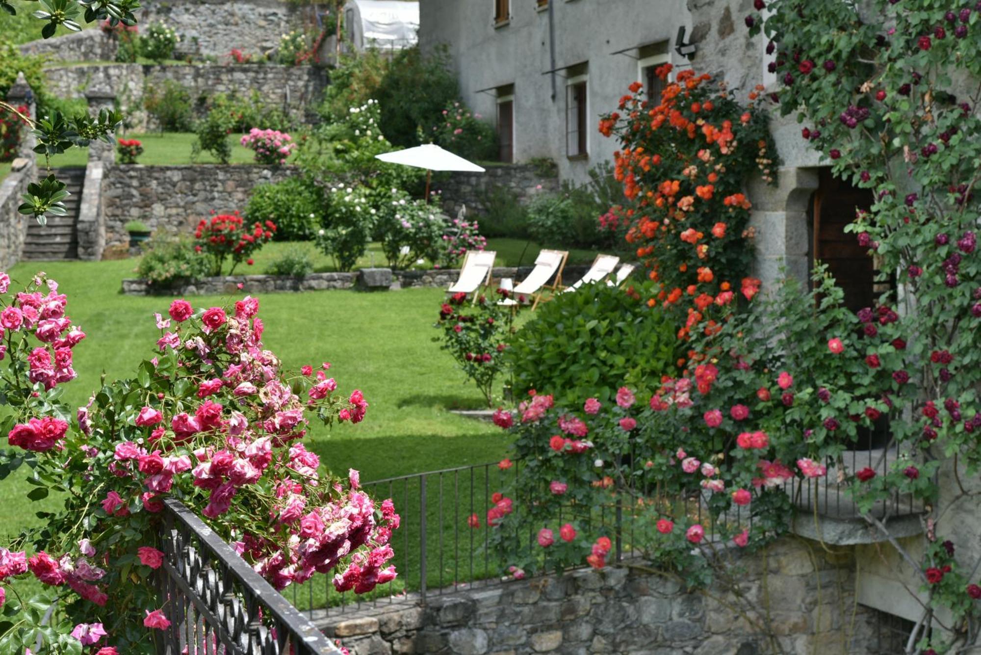 Вілла Piano Nobile Al Roseto Del Drago San Bernardo  Екстер'єр фото